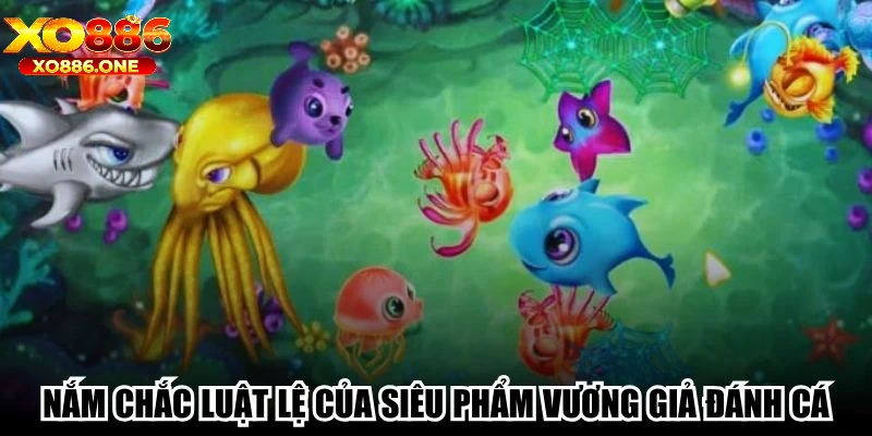 Nắm chắc luật lệ của siêu phẩm Vương Giả Đánh Cá